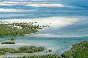 côte du Mozambique